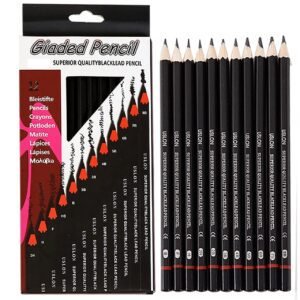 Giaded Pencils Pack of 12