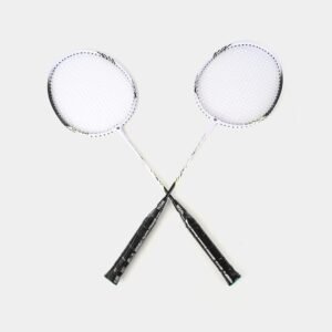 Wizal Badminton - 1pair
